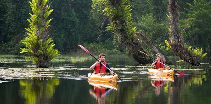 kayaking at the Hornbill Camp, Thattekkad